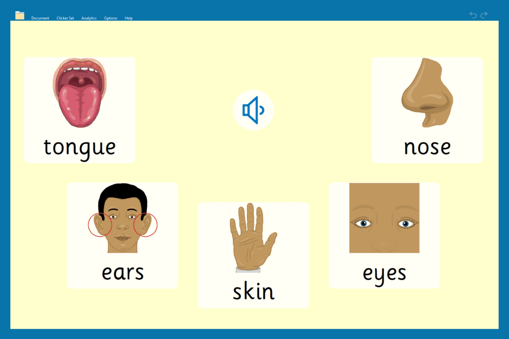 KS1 subject learning 3