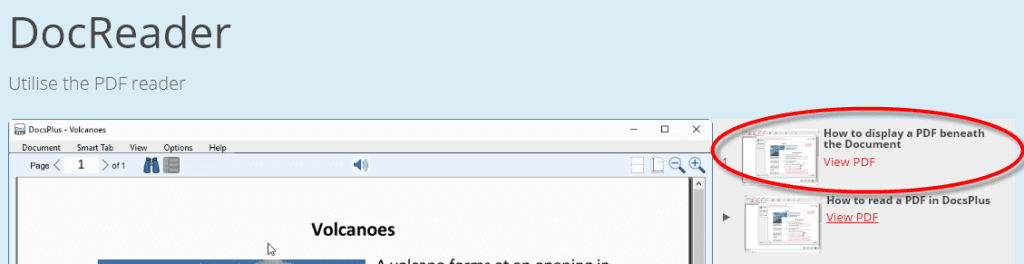 Display a PDF in DocsPlus